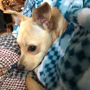 Meet your Posher, Amy